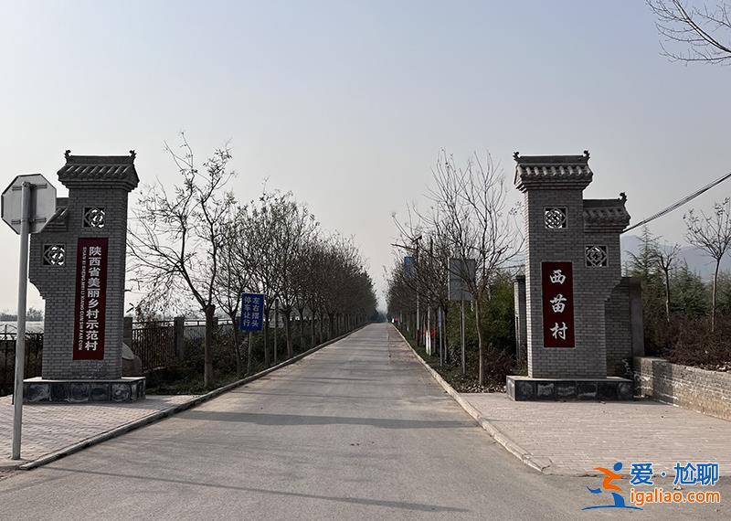 村路泥濘不堪卻花幾十萬建門樓、上百萬修圍欄？青海省農業農村廳回應？