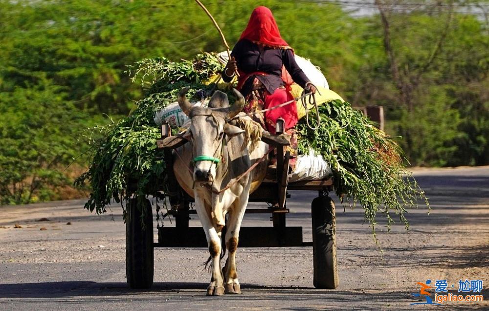 印度人口超越中國成全球第一 是人口紅利還是負擔?? 印度人口超越中國成全球第一 是人口紅利還是負擔??