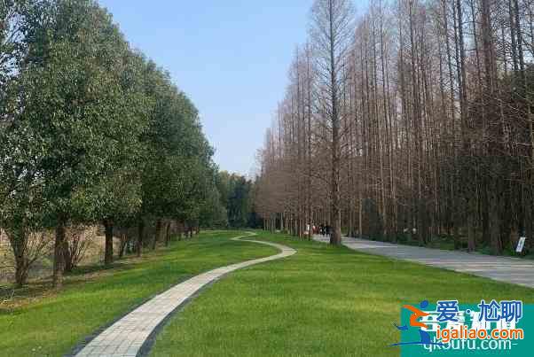 2022受疫情影響蘇州同里古鎮和同里國家濕地公園暫停開放？