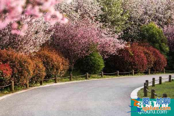 無(wú)錫健身步道匯總 適合跑步的公園？