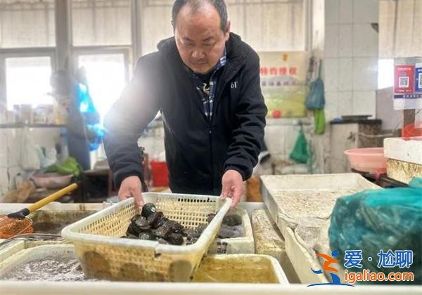 浙江一男子重拾兒時夢想，從魚販逆襲成畫家？