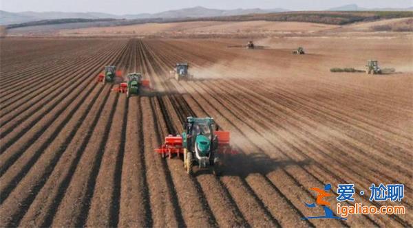最新農情：全國已春播糧食面積超1.4億畝？