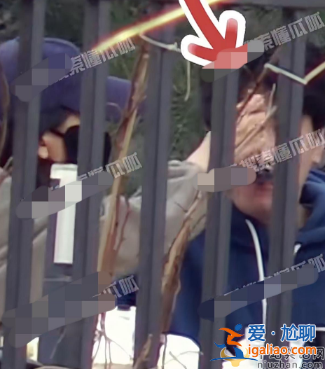 高圓圓趙又廷離婚了嗎?合體逛街大秀恩愛 大口吃糖葫蘆不顧形象