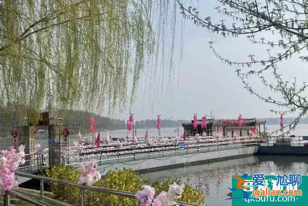 武漢東湖櫻花園2022年開放時間 賞花攻略？