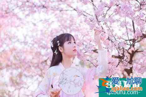 2022中國科技大學櫻花開了嗎(附賞櫻花攻略)？