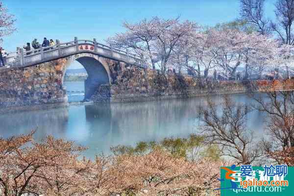 2022無錫黿頭渚櫻花什么時候開? 2022無錫黿頭渚櫻花什么時候開?