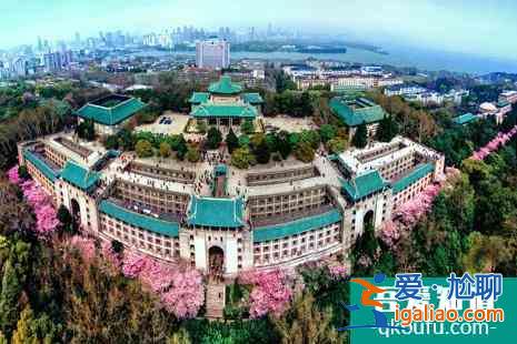 2022武漢大學(xué)校友預(yù)約櫻花攻略？