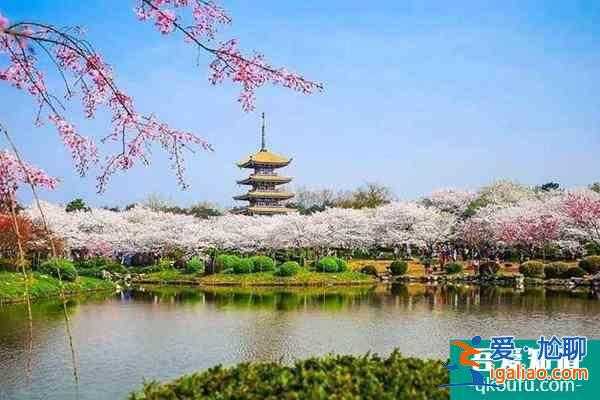 2022東湖櫻園什么時候開門 及最佳觀賞時間？