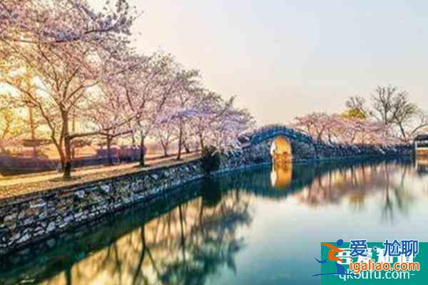 無錫拈花灣櫻花什么時候開2022 最佳賞櫻時間及賞櫻地點？