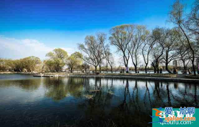 2022玉淵潭公園櫻花最佳觀賞時間？