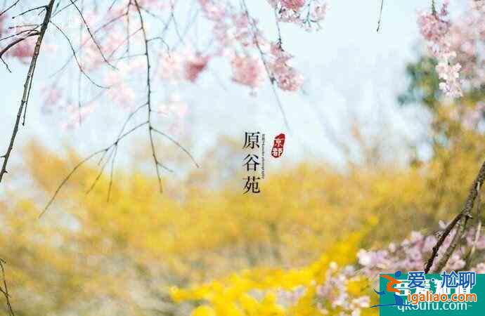 日本櫻花幾月開 2022日本櫻花開放時間及賞櫻地點介紹？