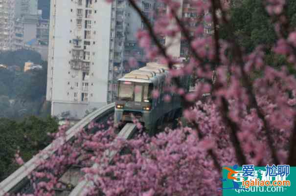 重慶小眾花海有哪些地方 春季賞花地推薦？