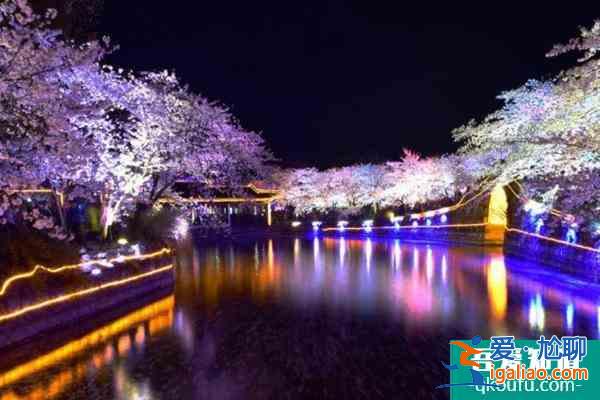 無錫黿頭渚櫻花幾月份開花2022？