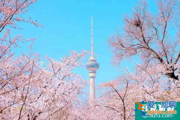 國內三四月份適合旅游的地方？