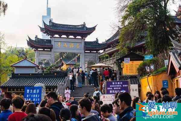 2022雞鳴寺櫻花開放時間是幾月份？