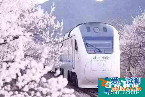北京哪里賞櫻花2022？