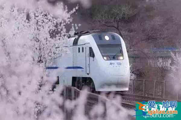 北京最浪漫的櫻花列車(chē) 北京櫻花列車(chē)攻略？