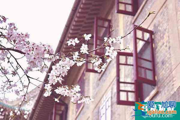 2022武大櫻花預(yù)約官網(wǎng)地址、門票及開放時(shí)間介紹？