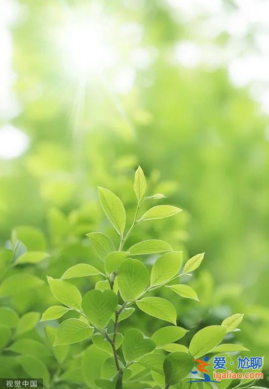 萬物生長 不負韶華？