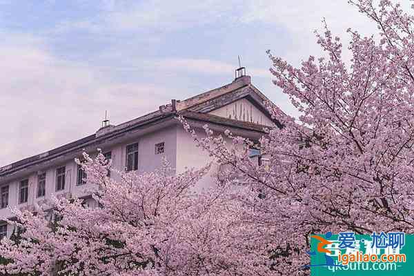 2022武大櫻花預(yù)約官網(wǎng)地址、門票及開放時(shí)間介紹？