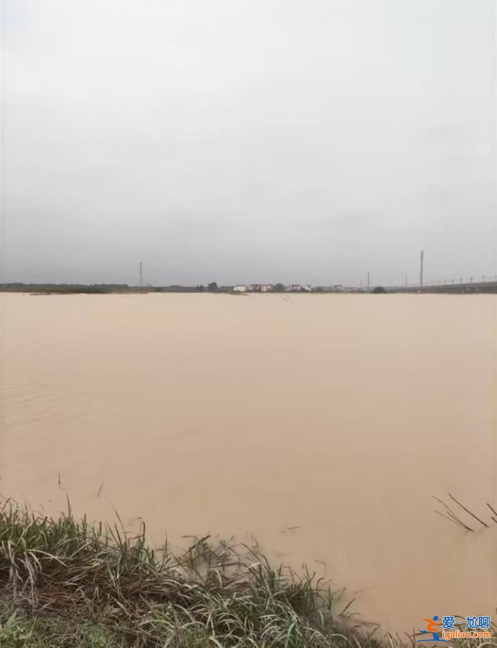 村民遇大水“敲門”住進學校 有農(nóng)戶稻田魚塘均被淹？