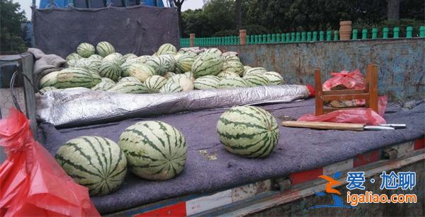 男生買5斤西瓜少了2斤，怒懟商販[商販糾紛]？