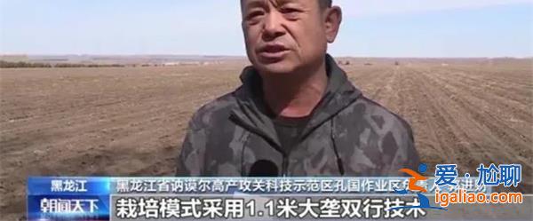 全國春播糧食超過四成[四成以上]？