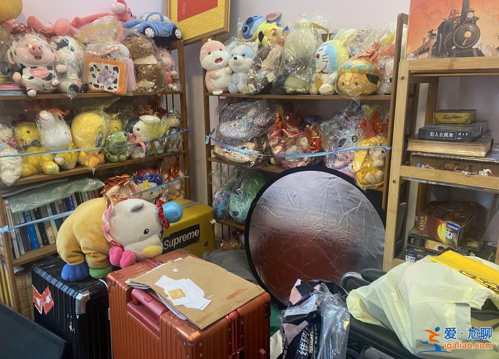 喂養(yǎng)兩條“棄狗” 一對年輕夫妻被指控盜竊罪、判處拘役4個月？