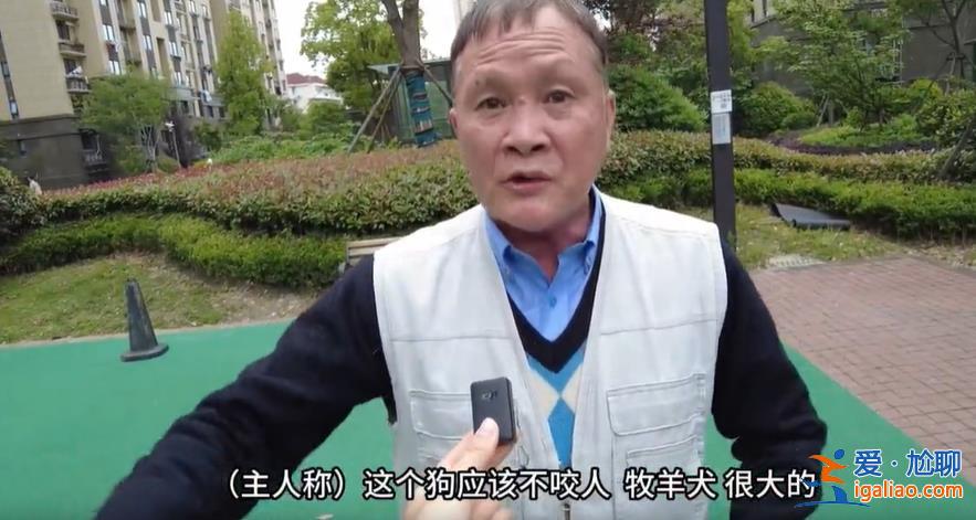上海一兒童被打成腦震蕩！只因對遛狗人說了這句話……？