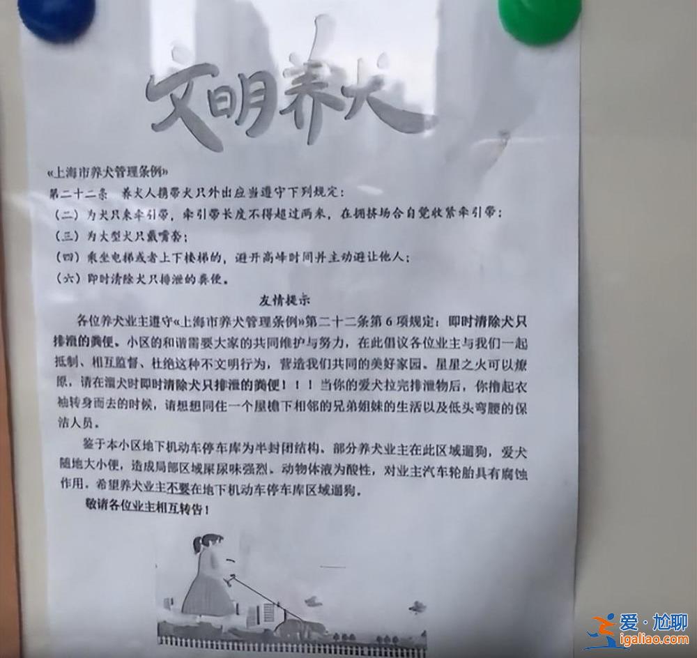 上海一兒童被打成腦震蕩！只因對遛狗人說了這句話……？