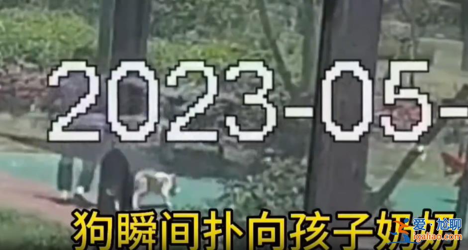 上海一兒童被打成腦震蕩！只因對遛狗人說了這句話……？