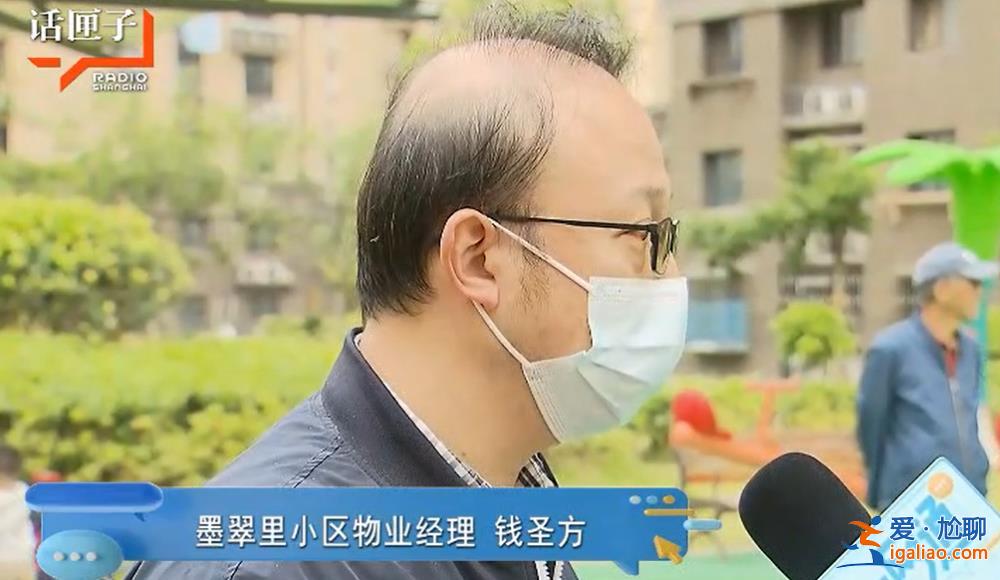 上海一兒童被打成腦震蕩！只因對遛狗人說了這句話……？