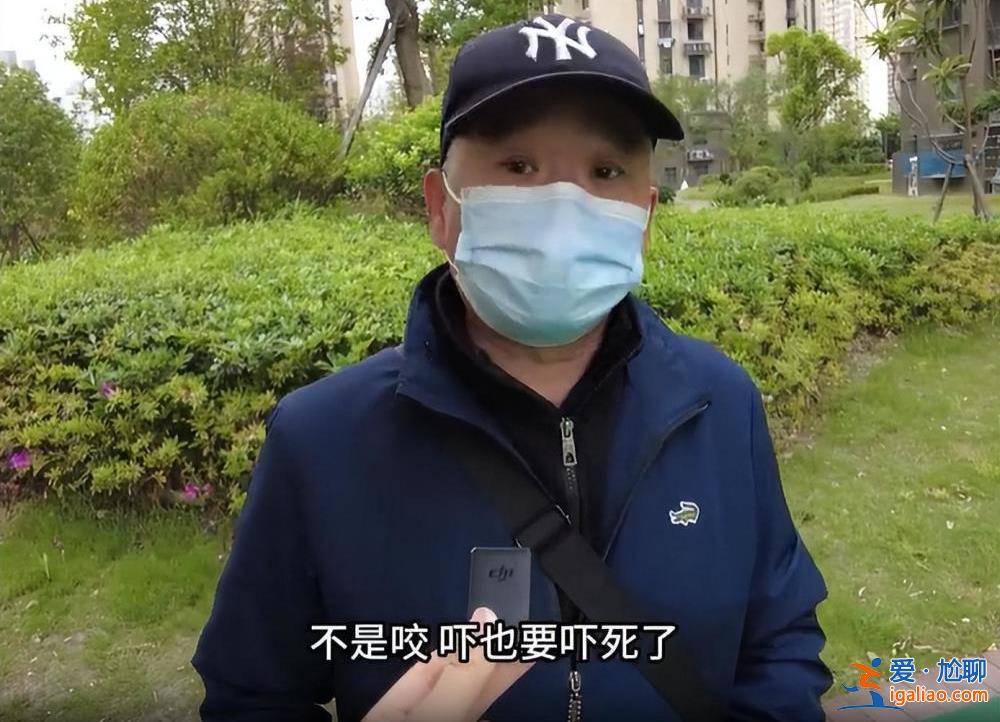 上海一兒童被打成腦震蕩！只因對遛狗人說了這句話……？