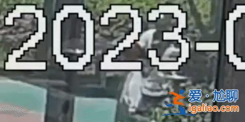 上海一兒童被打成腦震蕩！只因對遛狗人說了這句話……？