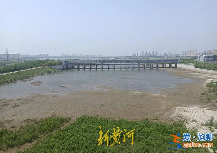 男子緩刑期無證酒駕撞人后拋尸河中 肇事地點距離醫(yī)院僅十米？