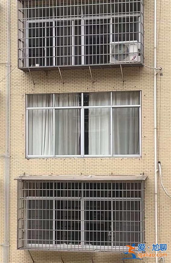 有居民已開始加固自家防護(hù)窗？