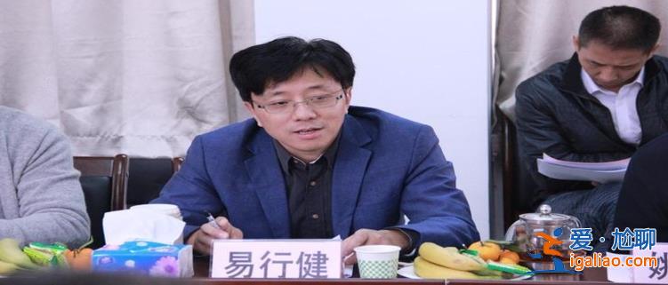 易行健對擴大居民消費問題的五點建議 推進側結構改革？