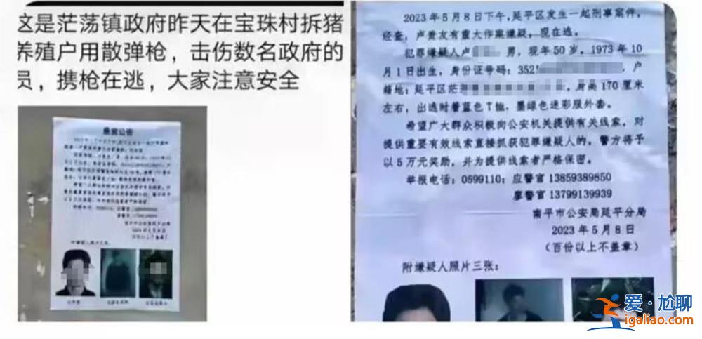 養(yǎng)豬戶豬舍被拆 疑用改裝槍射傷3名執(zhí)法人員后逃走 遭通緝投案自首？
