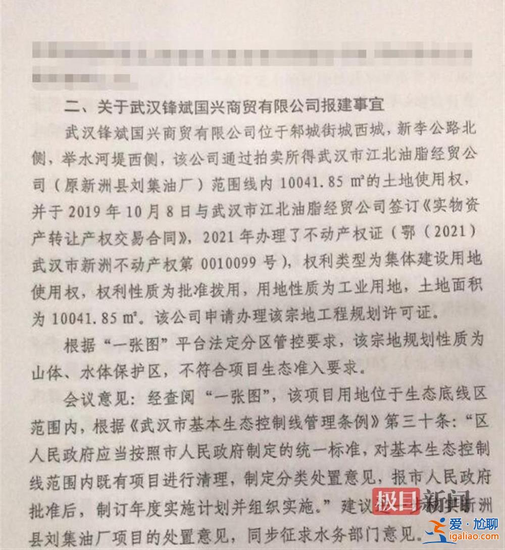 拍得政府土地卻被告知無使用權 湖北新洲一投資人被拖至幾近破產？