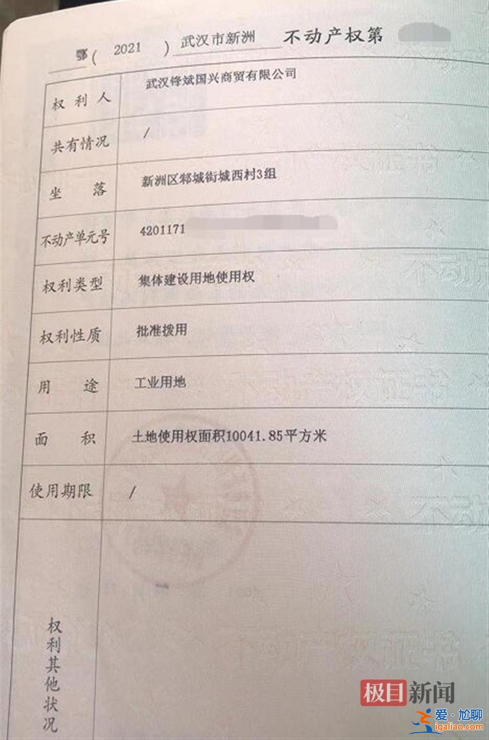 拍得政府土地卻被告知無使用權 湖北新洲一投資人被拖至幾近破產？