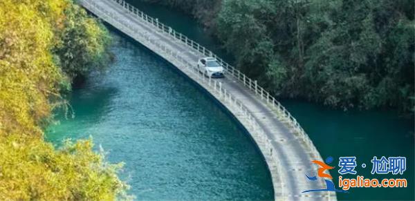 墜車浮橋承建方，，景區將被迫停止營業[停止營業]？