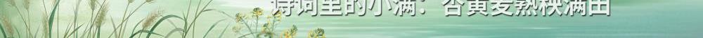 24節(jié)氣為何獨缺“大滿”？？