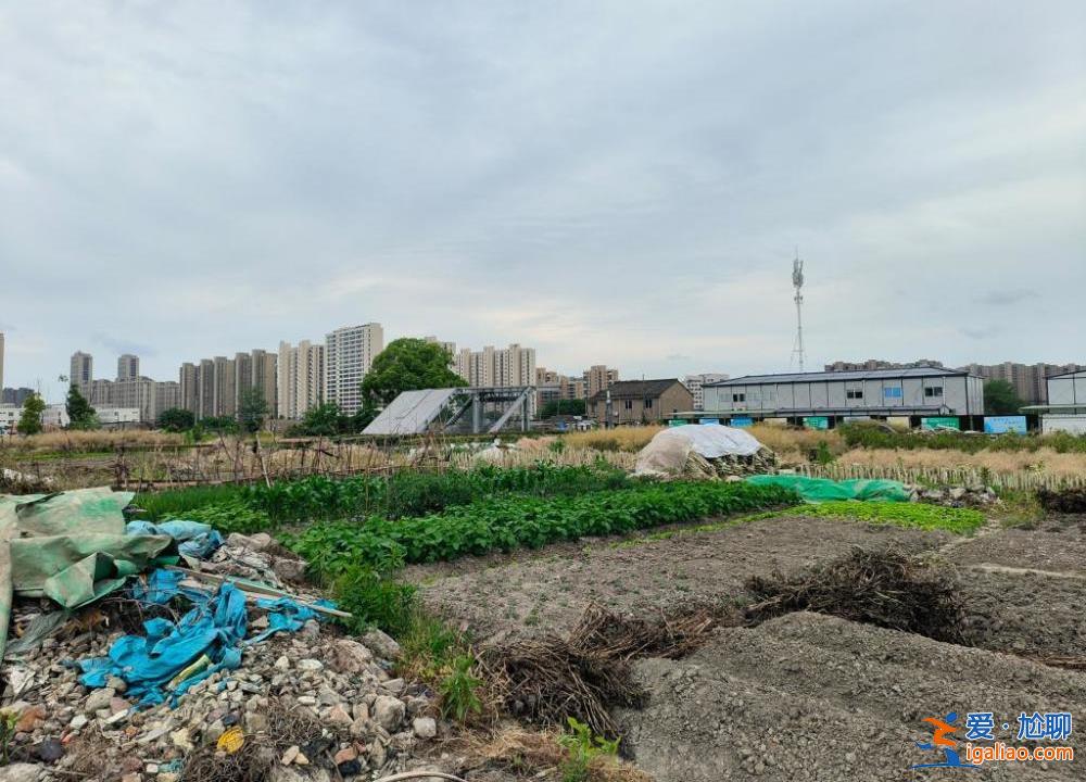 建在基本農田里 乘車繞行近3公里？