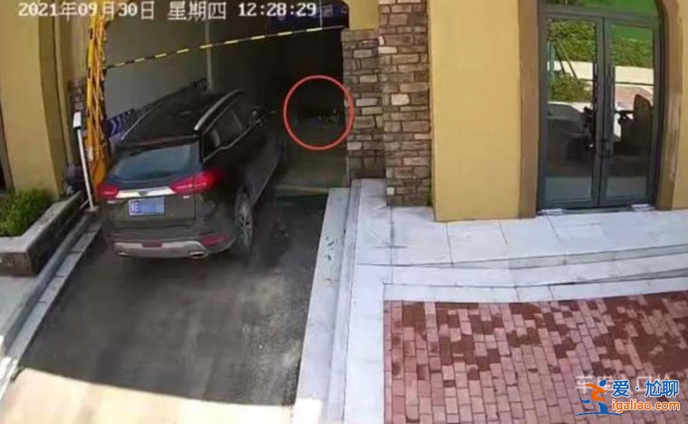 湯陰“清潔工躺車庫被碾身亡”案司機申請國家賠償60余萬 此前被判無罪？
