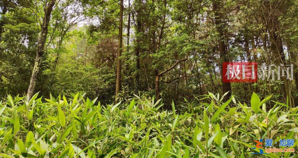 9歲男孩失蹤13年后尸骨現身山林地縫 兩名村婦被警方帶走？