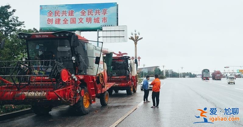 已初步解決? 已初步解決?