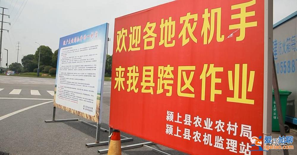 夏收在即 上百臺收割機不讓下高速？河南安陽回應 安徽一地做法獲贊？