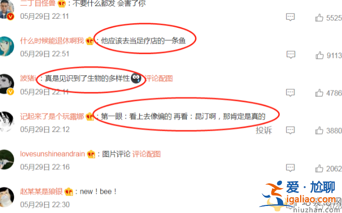 昆汀三部曲是哪三部?曝昆汀花1萬美元在夜店舔美女的腳