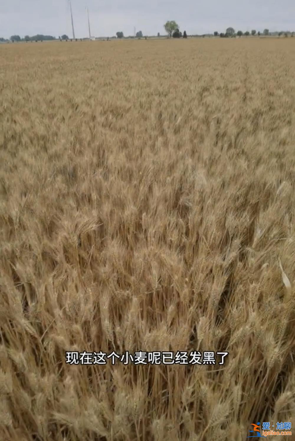 主要是因連續降雨？
