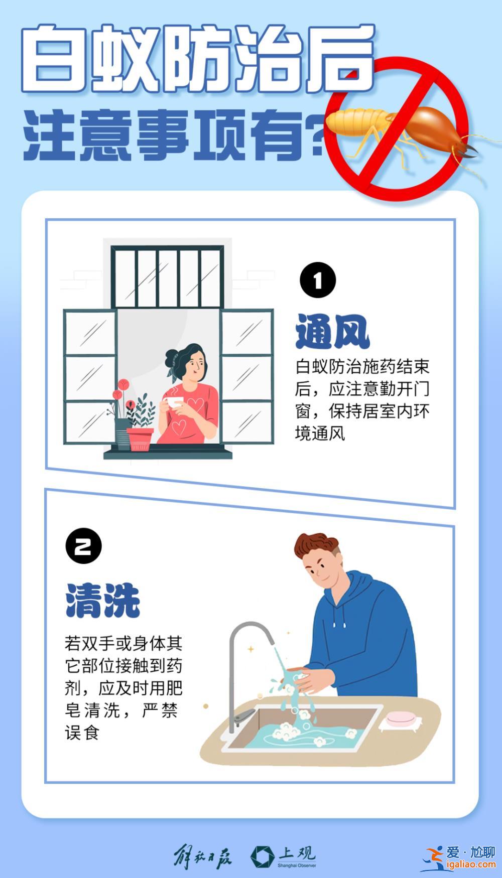 一直從天上掉下來白蟻的翅膀？